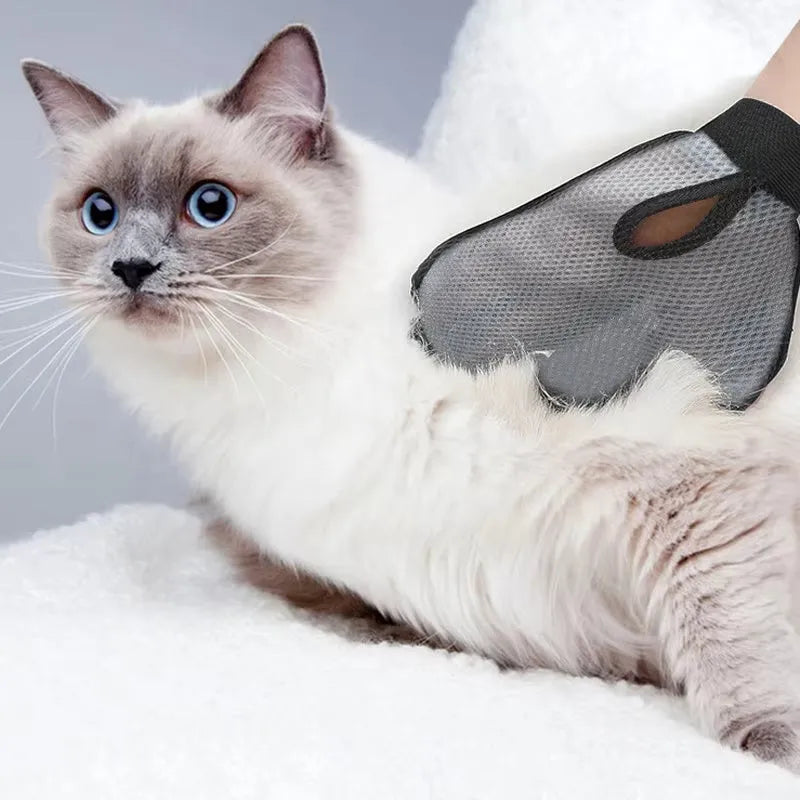 Gray cat hair removal glove with silicone massage tips on hand, adjustable wristband