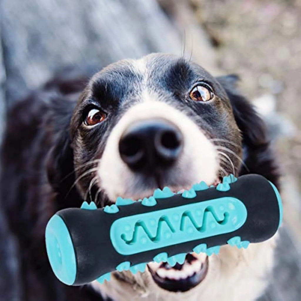 Natural rubber dog dental chew toy in blue, showing textured toothbrush design.