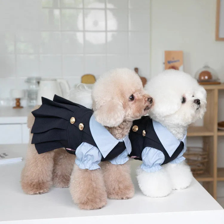 Dark grey polyester casual dog clothing shown on pet model