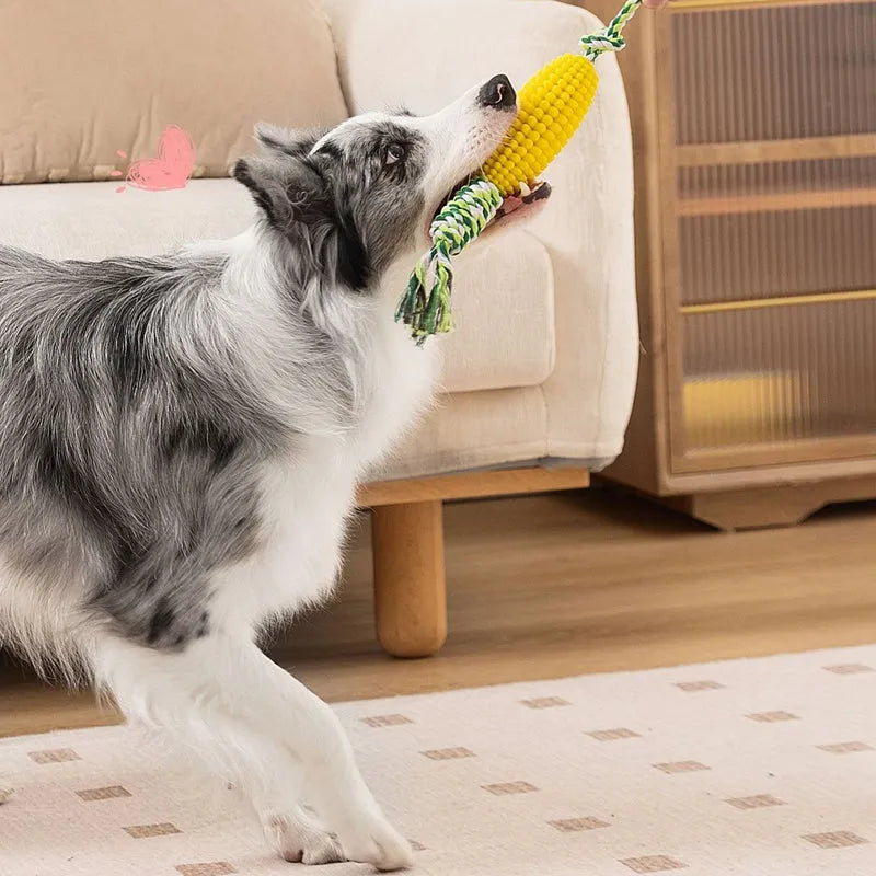 Pet Toy Corn Ball Knot Teething Toys set with two corn-shaped toys in yellow and green and one yellow ball on a white background