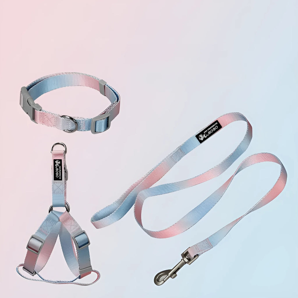 Multicolour gradient dog leash set with nylon collar, harness, and lead in pink blue yellow purple green combinations