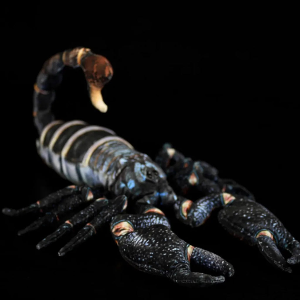 Simulated Yaeyama scorpion plush toy, 48cm from claw to tail, soft stuffed doll on white background