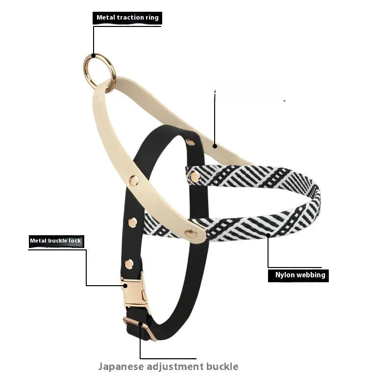 Dog hand holding rope pet harness chain in nylon PVC, Shadow White colour, with chest strap on neutral background