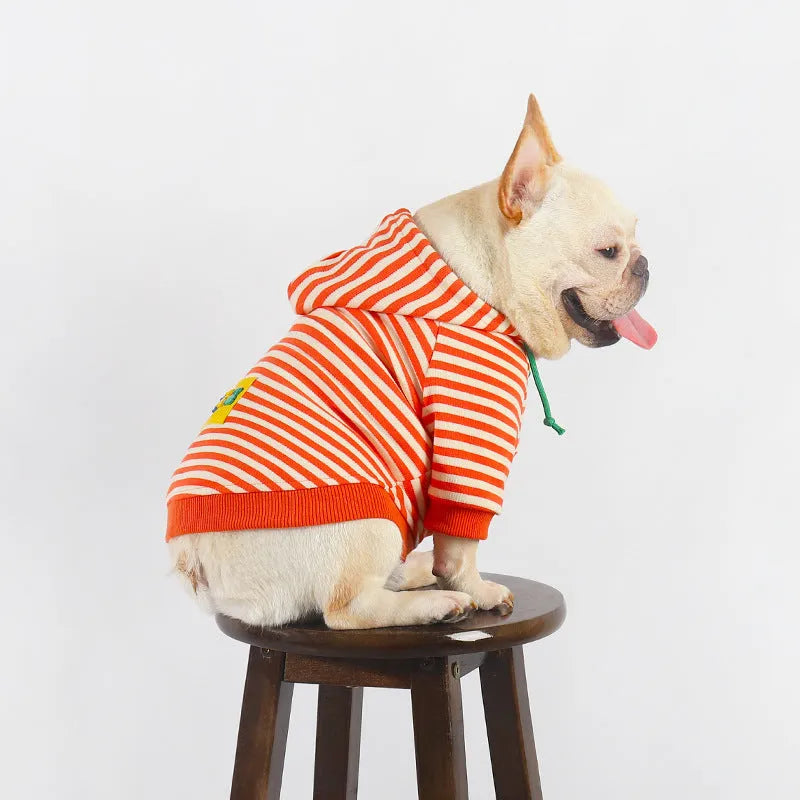 Orange cotton dog hooded sweater with Jarre Aero Bull Pug design pet clothing