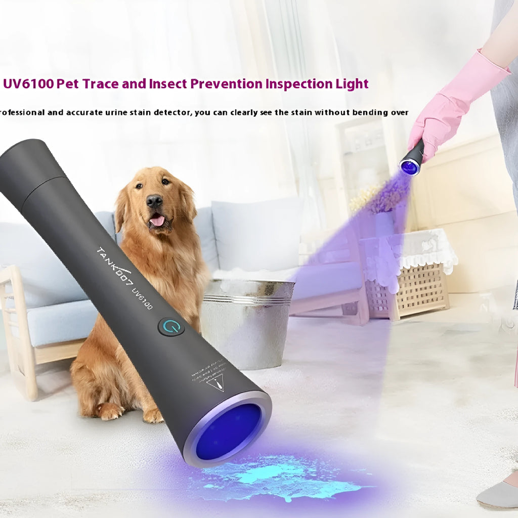 Black aluminium UV flashlight for detecting pet urine stains and insects on carpet.