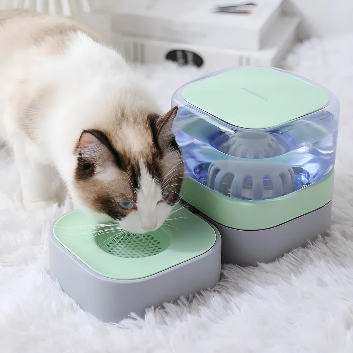 Non-slip automatic pet feeder with removable washable bowl in blue for dogs and cats