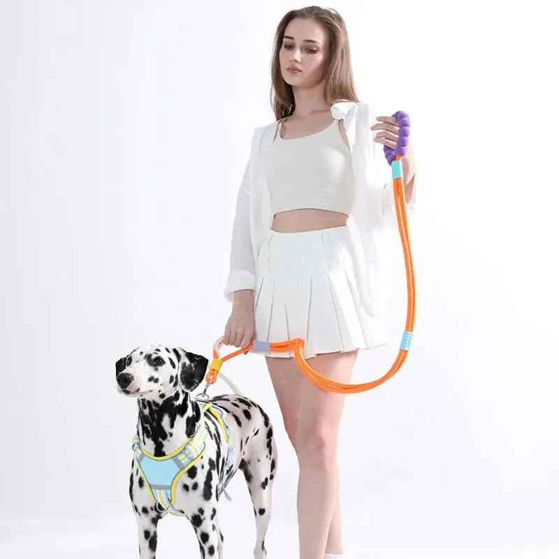 140cm nylon dog traction leash with foam handle in four colour options