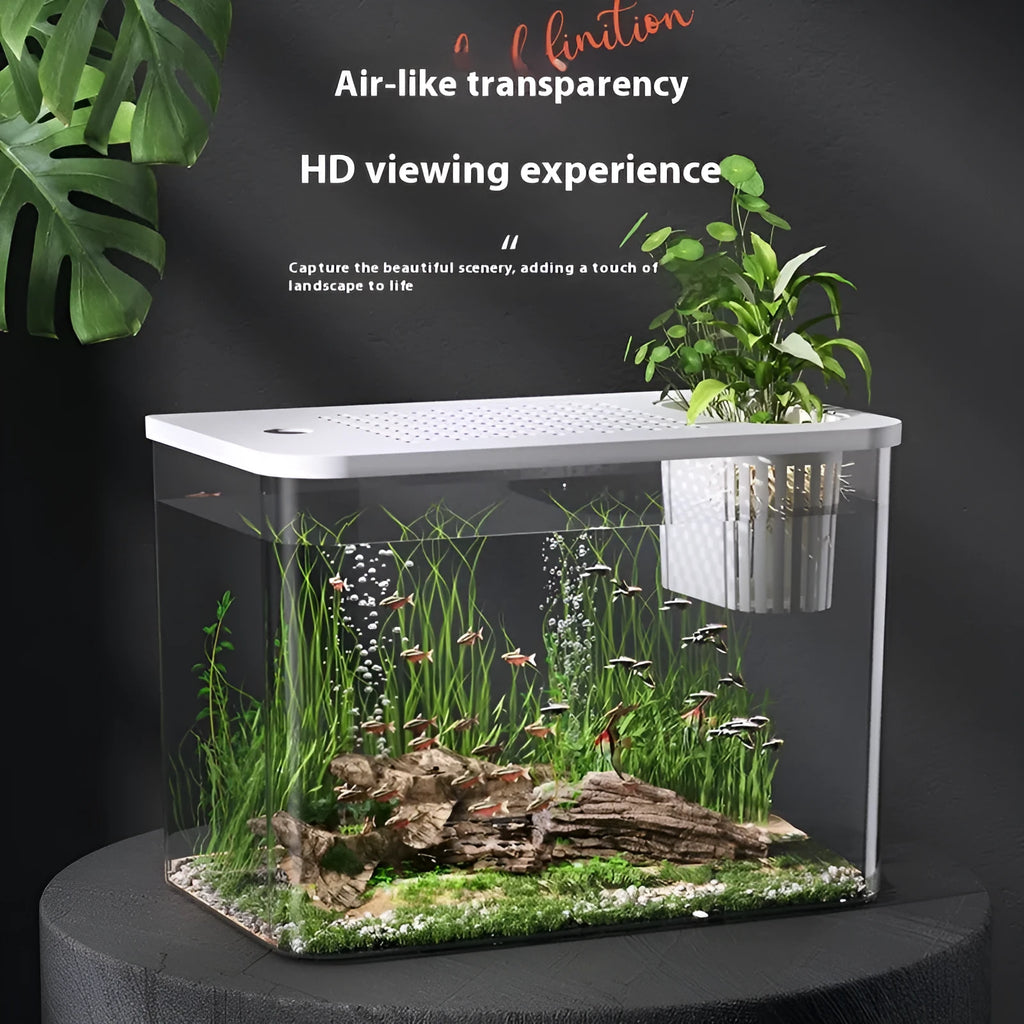 Medium plastic betta fish tank with lid cover in black or white colour options