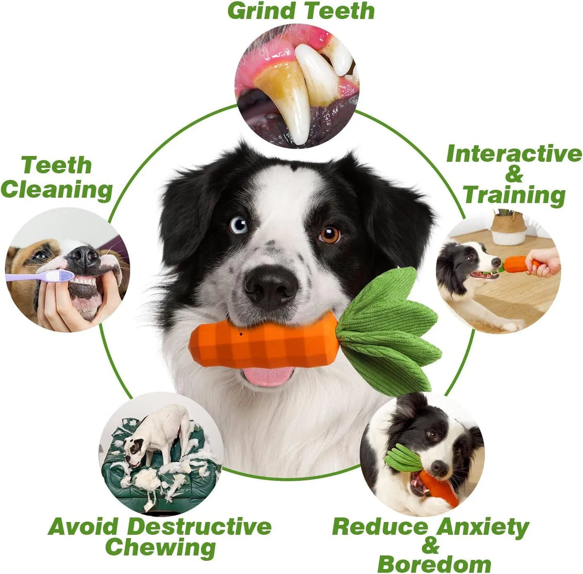 Milk flavour rubber carrot dog squeaky chew toy with green plush leaves for medium dogs
