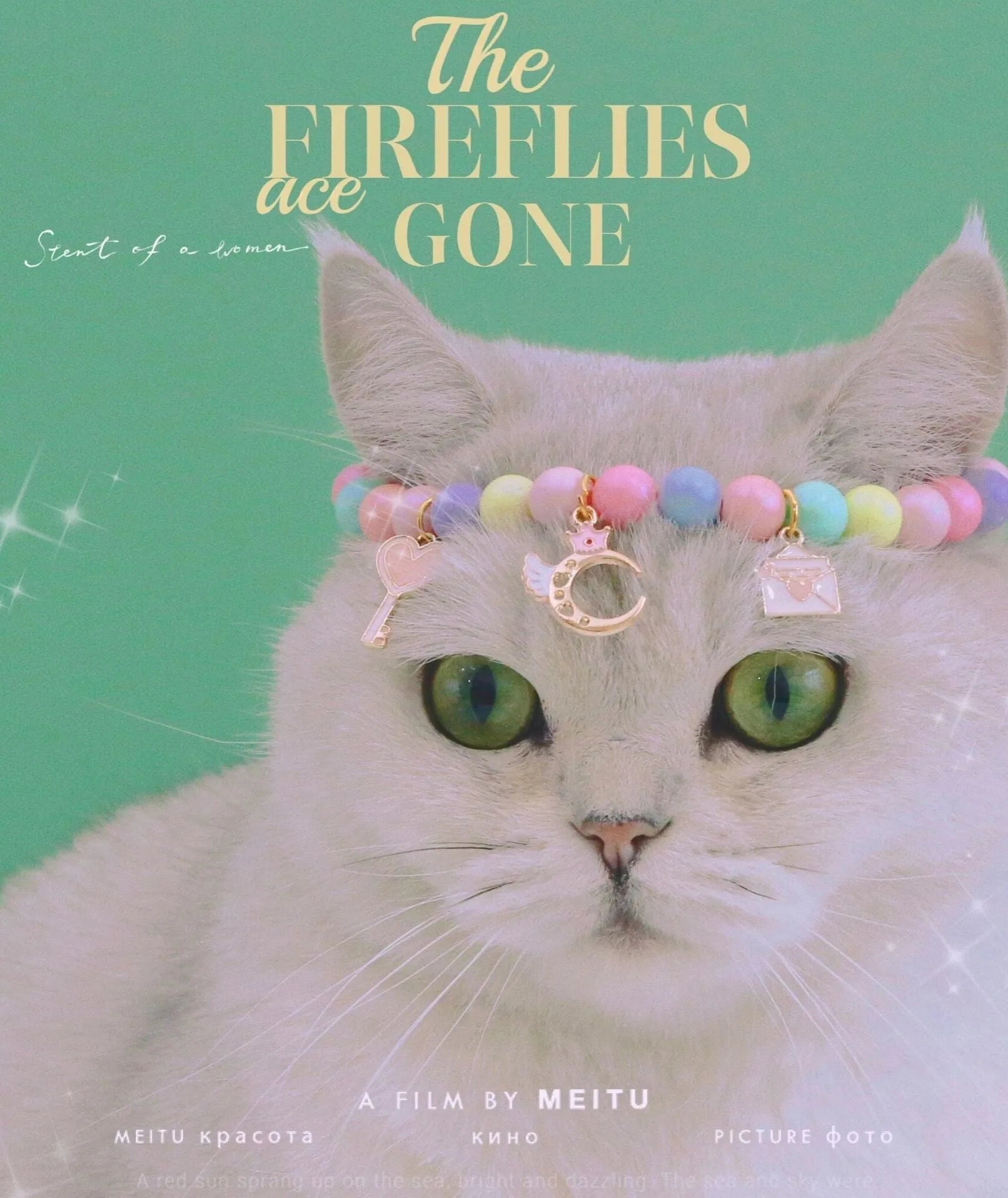 Macaron-coloured resin pet collar with moon charm and matching adjustable bracelet for cats or small dogs.