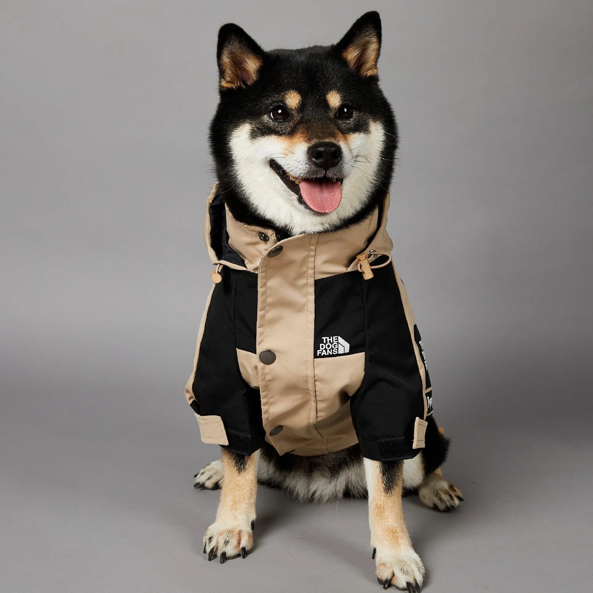 Khaki polyester dog shell jacket with zip closure shown on a dog