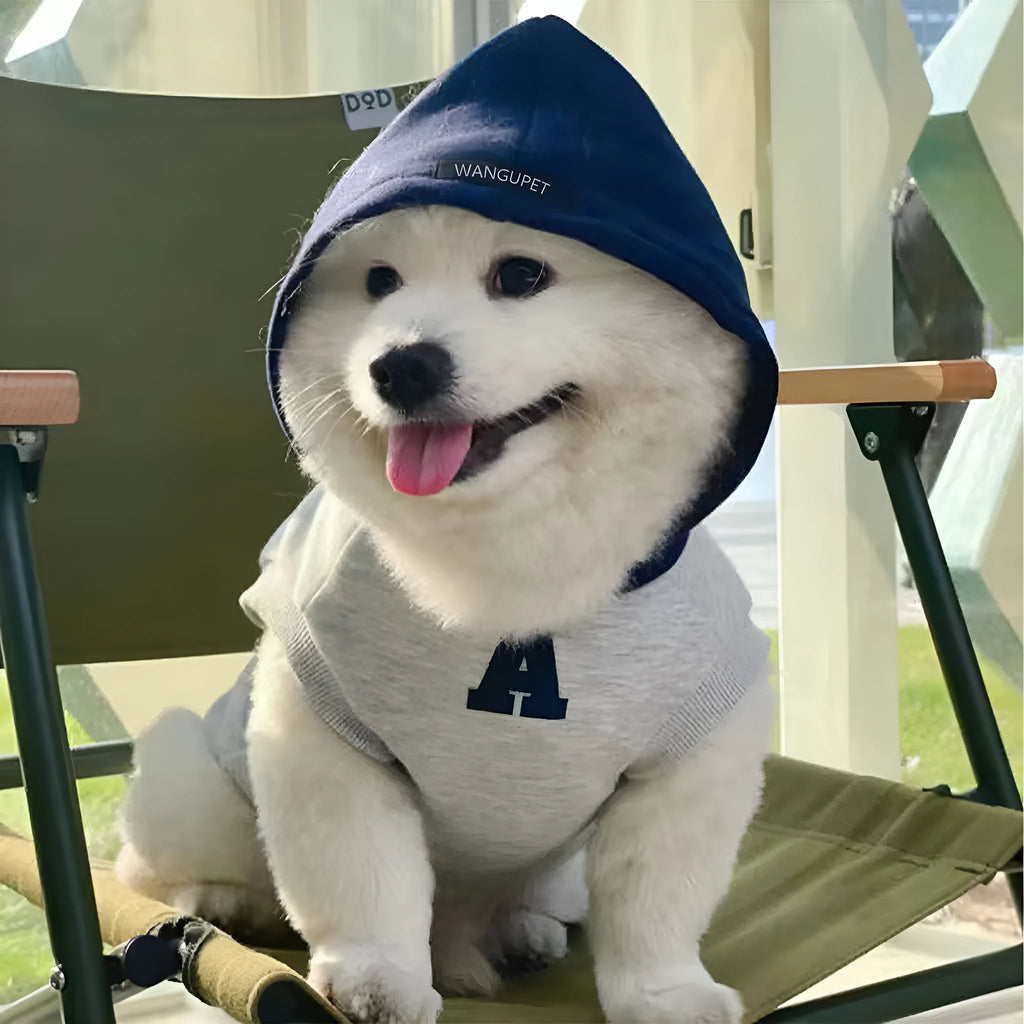 Blue and white slim-fitting pet hoodie with reflective letters for cats or dogs