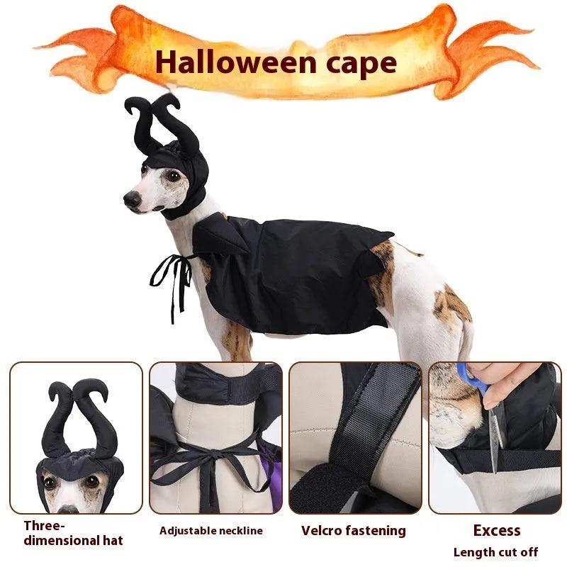 Black polyester Halloween dog cloak and hat set on a small dog, showing the cape and matching headpiece