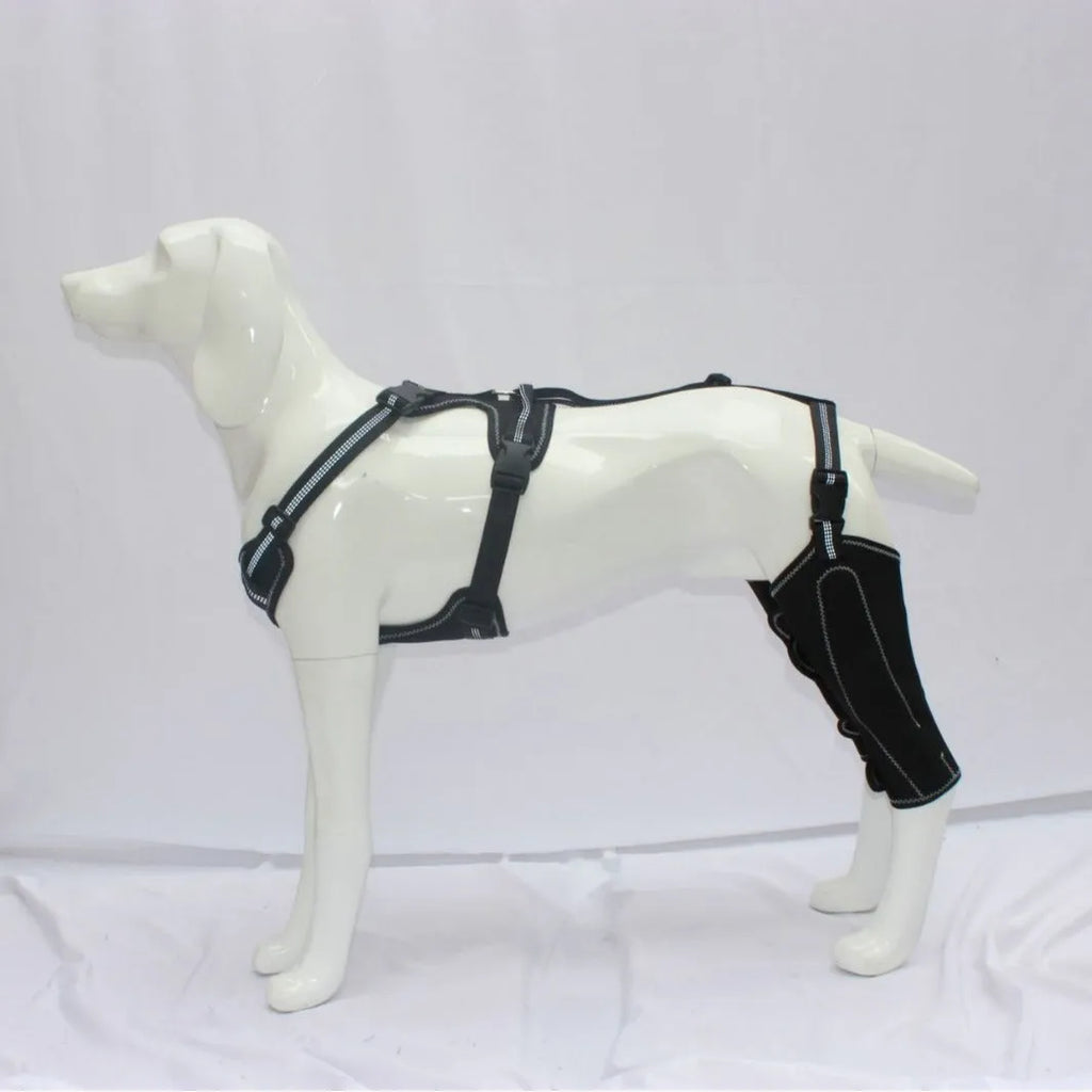 Black dog thigh protective sleeve with adjustable metal support for postoperative recovery in three sizes