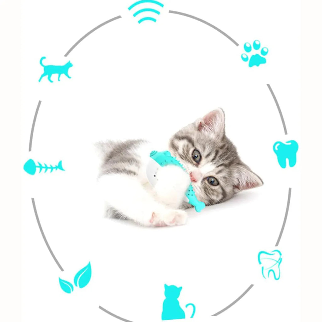 Mint Toys blue silicone fish-shaped cat chew toy with integrated toothbrush on a white background.