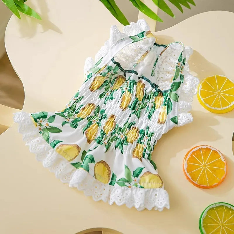 Rock yellow lemon princess style dog dress with thin breathable straps for small dogs