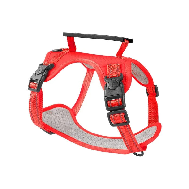 Adjustable polyester dog chest harness and lead in multiple colours on a size chart.