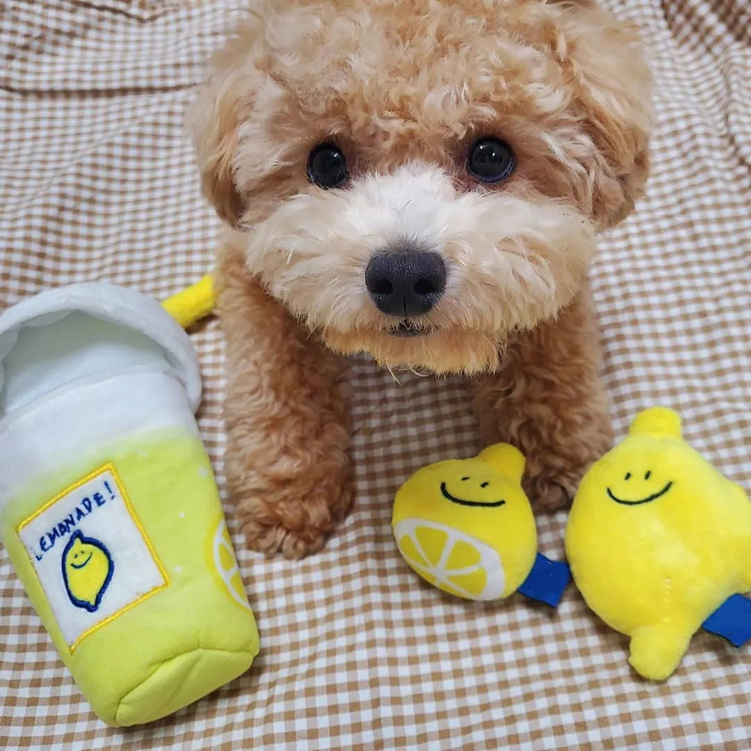 Yellow plush lemon tea cup pet toy with BB call and side snack pocket