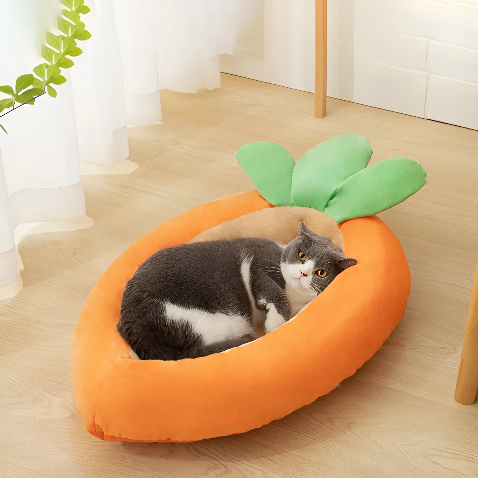 Carrot-shaped nesting dog bed with a blanket, shown in two sizes for small and medium pets.
