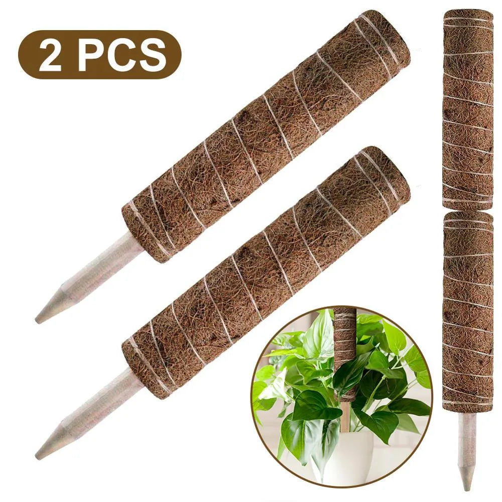 Coconut palm moss pole plant support stick, 17.7 inch wooden pole with natural coconut fibre wrap