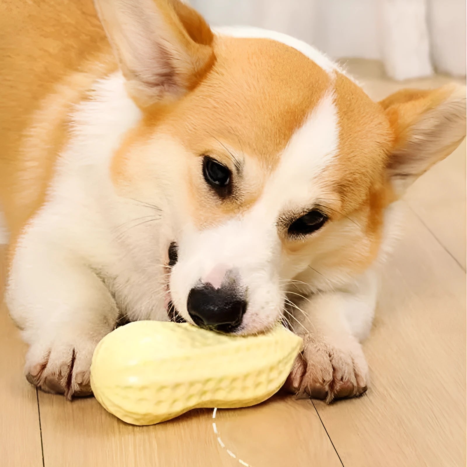 Yellow TPR peanut-shaped dog chew toy with textured surface for teeth cleaning.