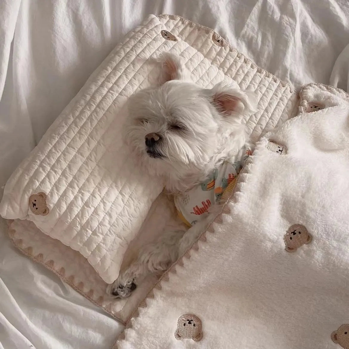 Fashion square mat removable washable dog bed set with bear pattern in polyester fabric