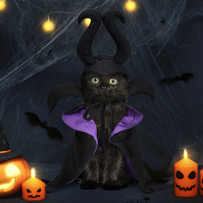 Black polyester Halloween dog cloak and hat set on a small dog, showing the cape and matching headpiece