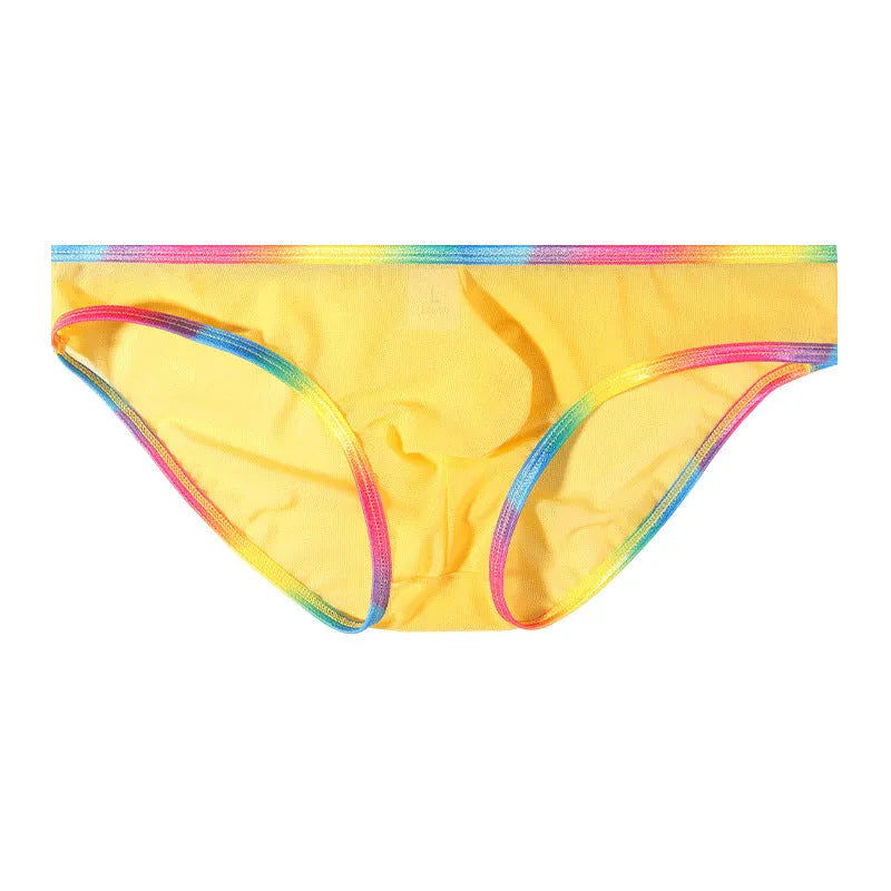 Mesh nylon briefs in six colours showing transparent knitted fabric and briefs style