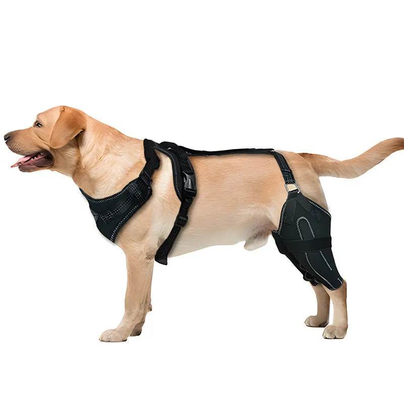 Black dog thigh protective sleeve with adjustable metal support for postoperative recovery in three sizes