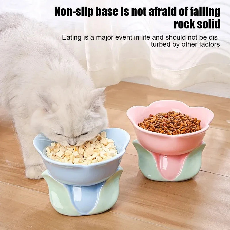 Ceramic raised pet bowl with floral pattern and non-slip base for cats and small dogs