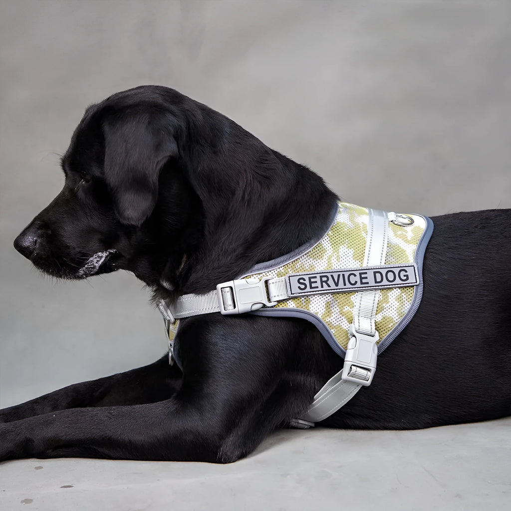 Colourful reflective dog harness with safety neck protection in ankela red, dark blue, or camouflage patterns
