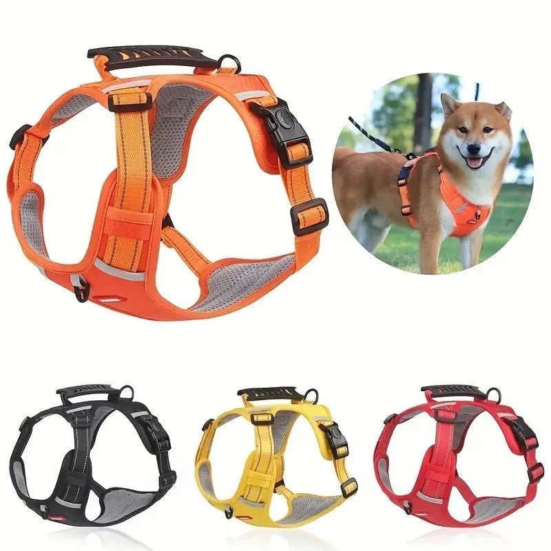 Adjustable polyester dog chest harness and lead in multiple colours on a size chart.