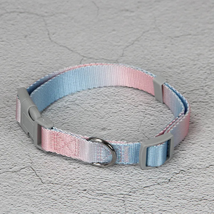 Multicolour gradient dog leash set with nylon collar, harness, and lead in pink blue yellow purple green combinations