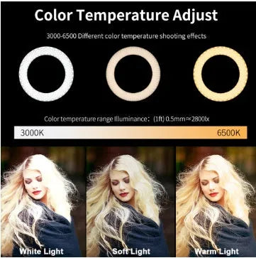 Self-Made Fill Light Artifact 5W LED ring light 20cm black with tripod and phone clip on desk