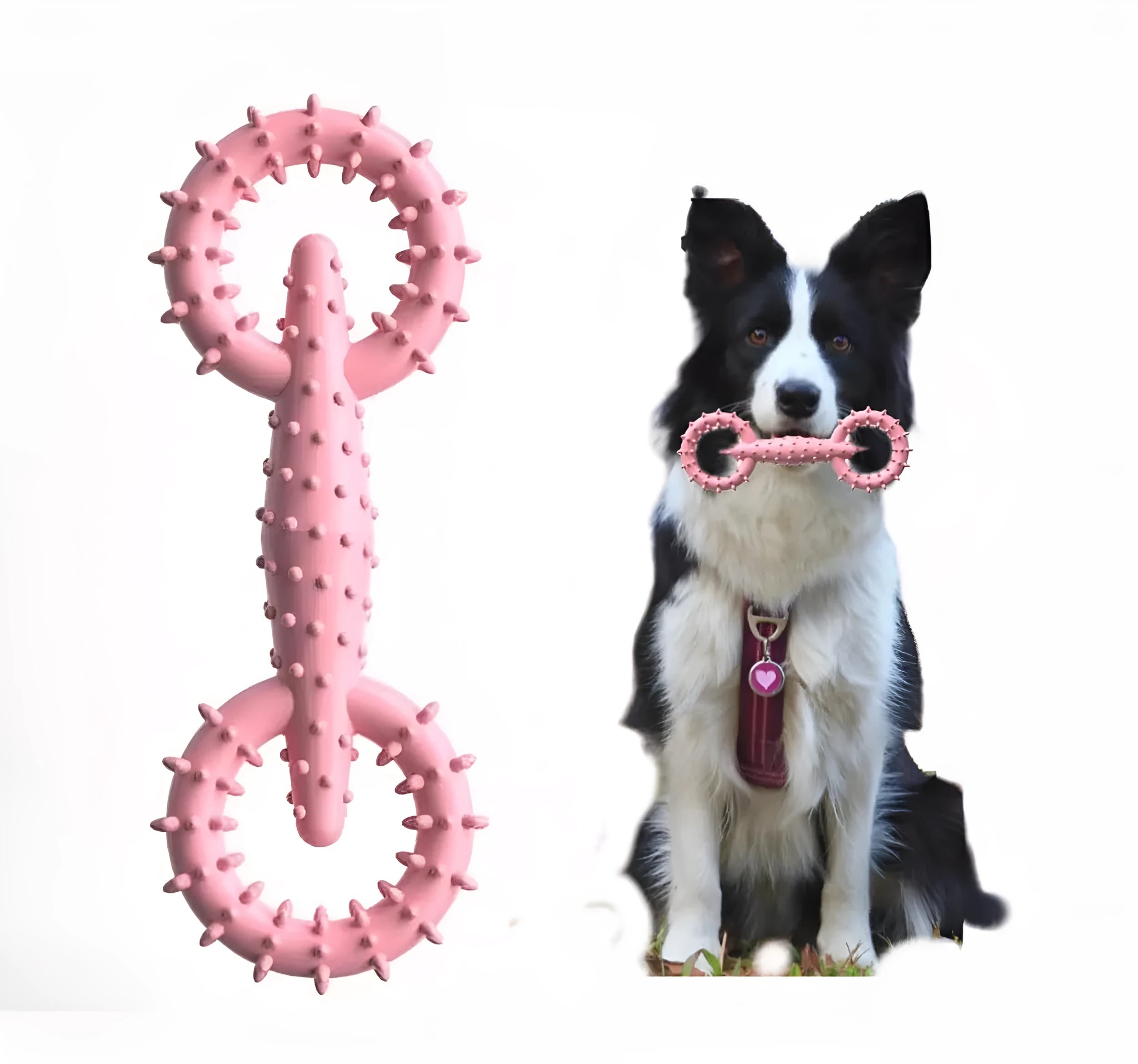Blue TPR rubber dog chew toy ring for puppy teething, 16cm diameter.