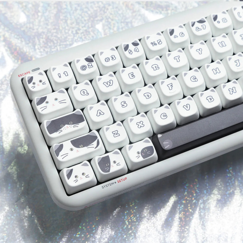 Black and white kitten sublimation PBT key cap set in boxed packaging, full layout excluding 7u and March space keys