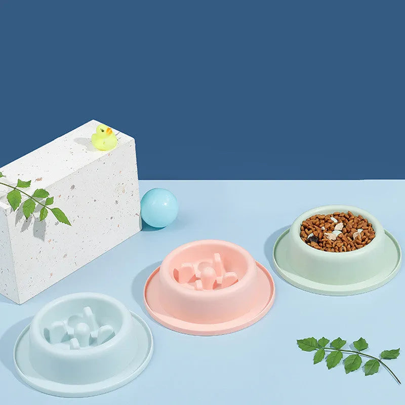 PP pet slow food bowl, 17 x 4.5cm, in pink, blue, or green, single bowl