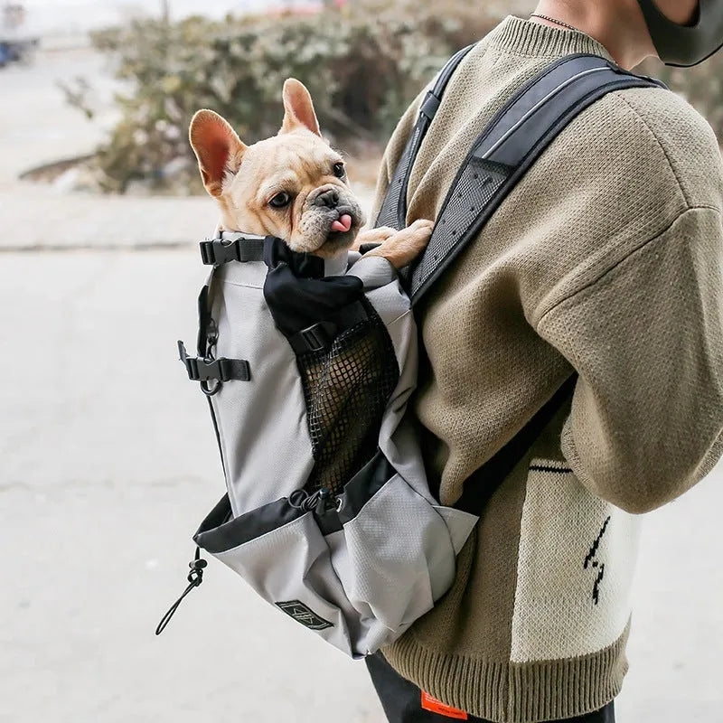 Pet dog carrier backpack in polyester with double shoulder straps, available in multiple sizes and colours