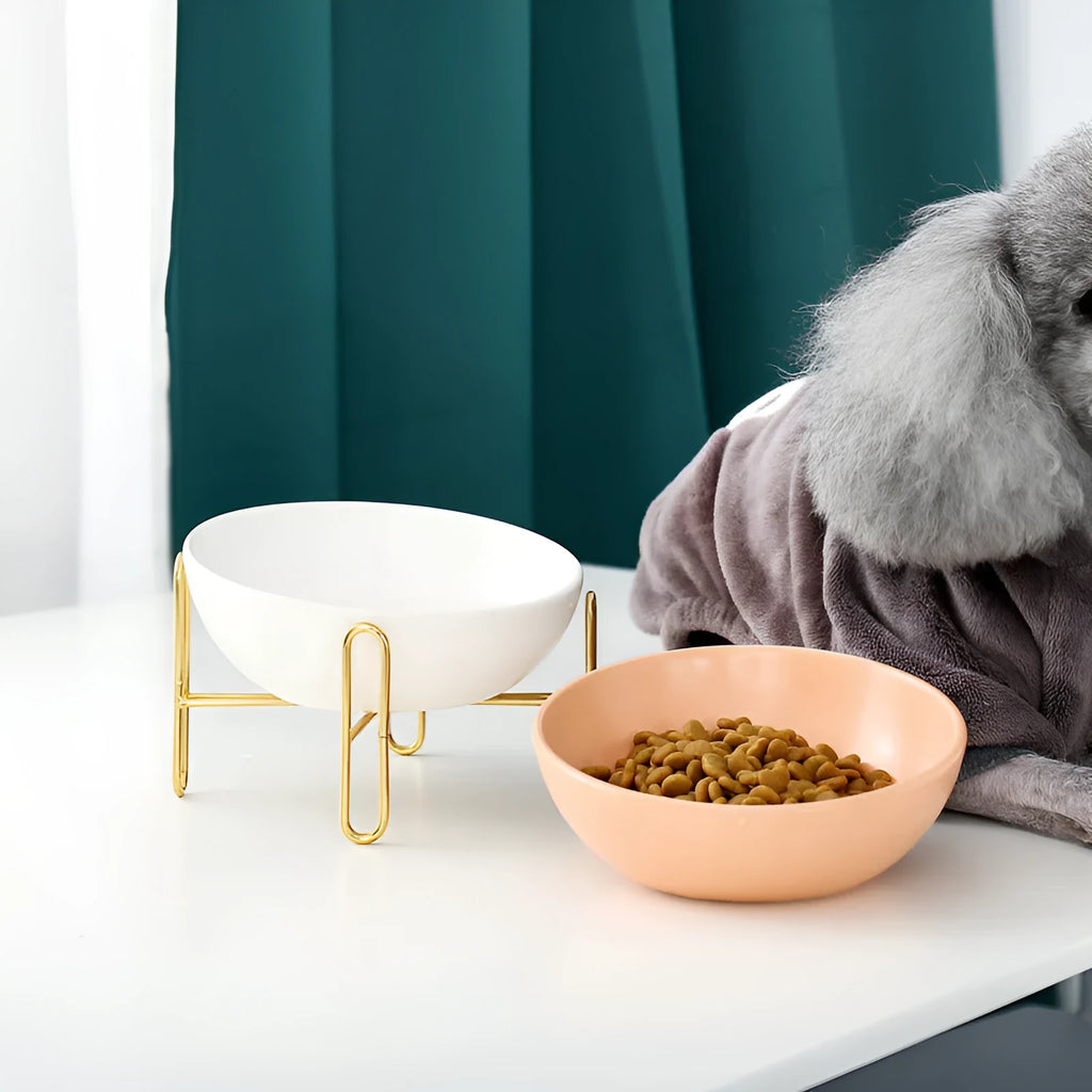 Ceramic pet bowl in blue with non-slip shelf, size M 600ml, on a wooden floor