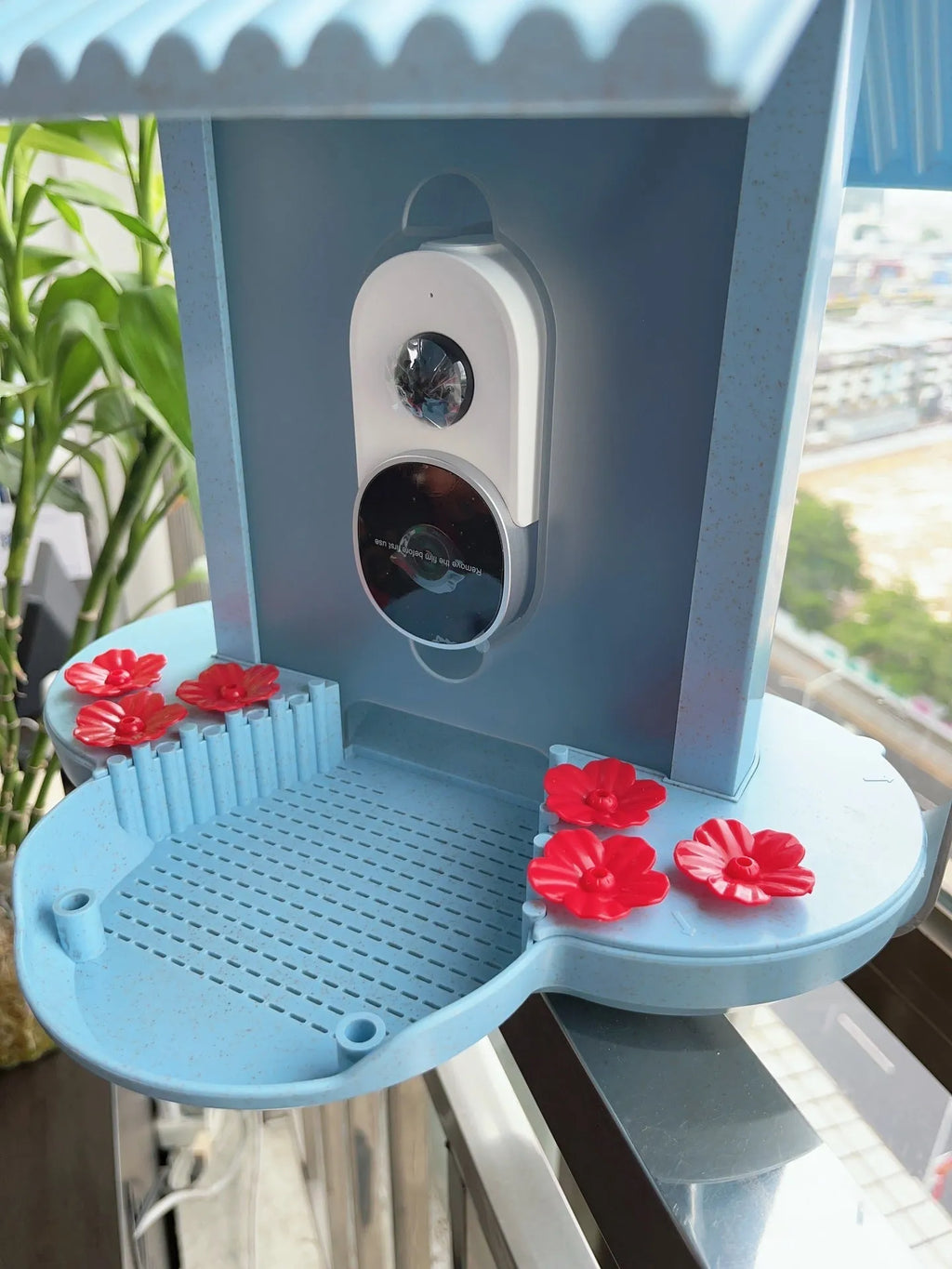Intelligent feeder with AI bird identification, 160 degree wide angle lens, and infrared night vision