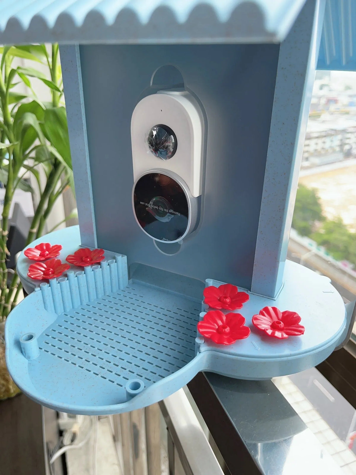 Intelligent feeder with AI bird identification, 160 degree wide angle lens, and infrared night vision
