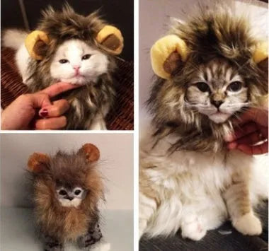 Lion mane pet hat for small dogs and cats, Size M neck 26-30cm, funny Halloween costume wig