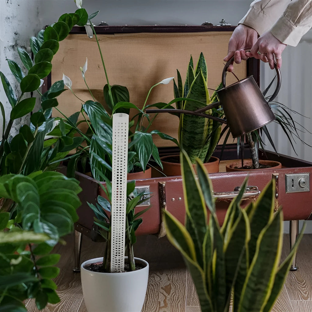 50cm white PP plastic water moss pillar as climbing support for a green vine in a pot