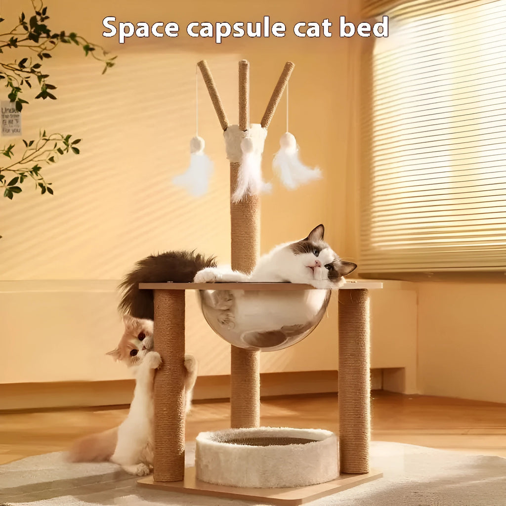 Wooden cat climbing frame with integrated space capsule and multiple climbing levels
