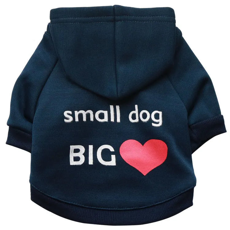Fleece printed dog clothes in style A, size M, on a small dog showing back length and neck fit