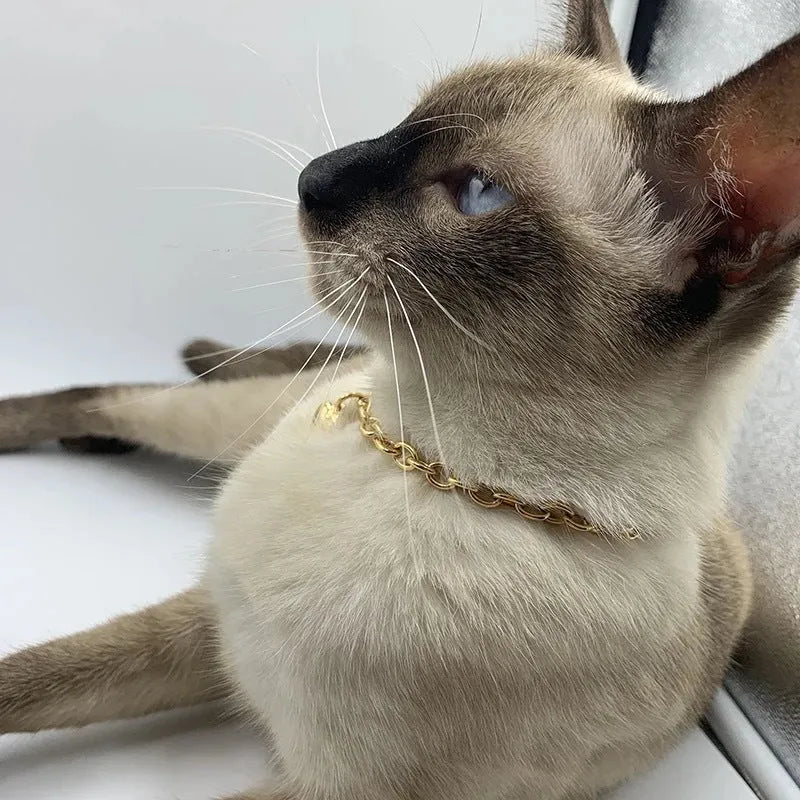 Stainless steel pet necklace with love heart pendant in gold or silver finish on curb chain