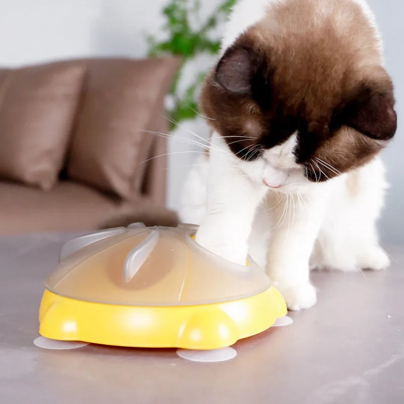 Yellow pet entertainment plate for cats serving as dual-purpose snack bowl and interactive toy