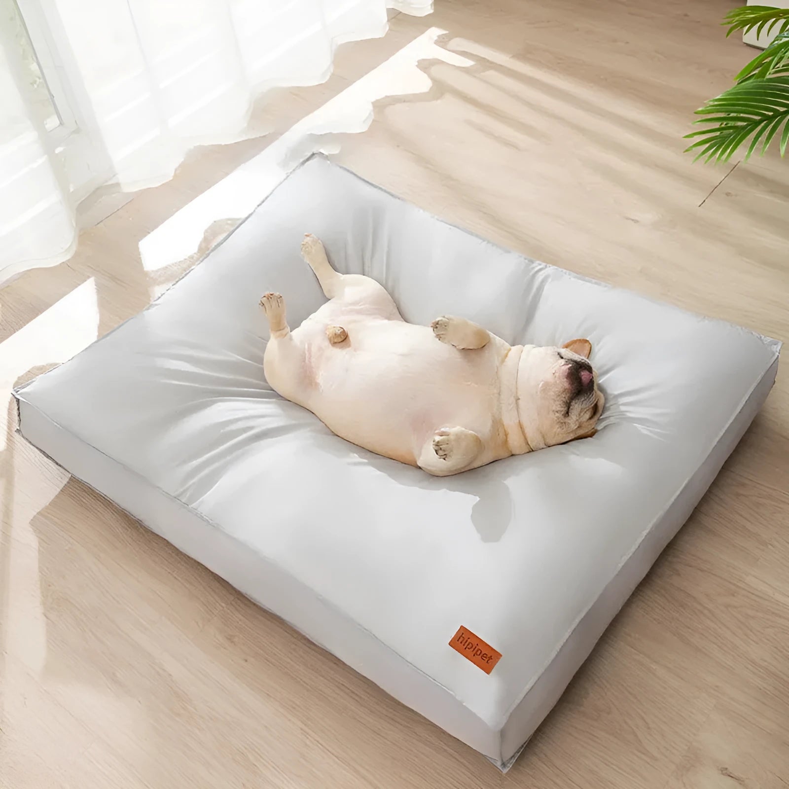 Waterproof dog bed in High-grade Gray with memory cloth surface and non-slip bottom, size XL