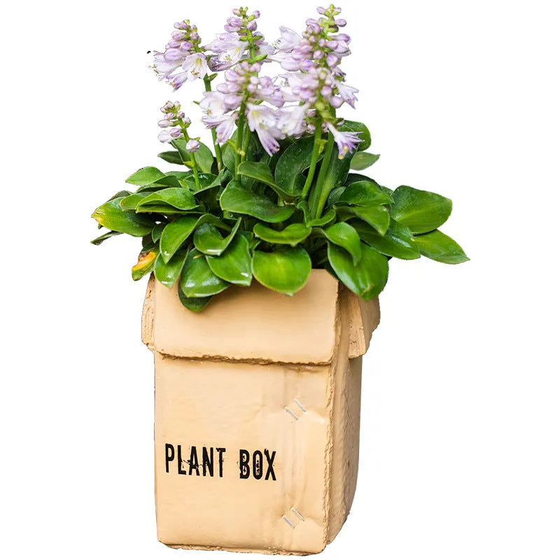 Cement flowerpot with brown paper carton design and drainage hole for indoor balcony plants.