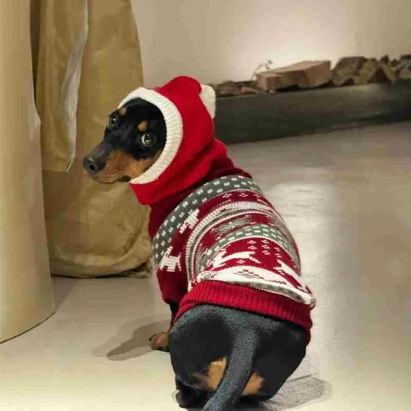 Red plush Christmas Dachshund hat pet disguise cap with scarf Little Red Riding Hood style for dogs